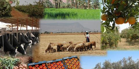 politique agricole