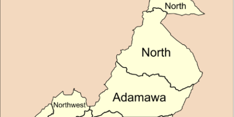 Carte du Cameroun
